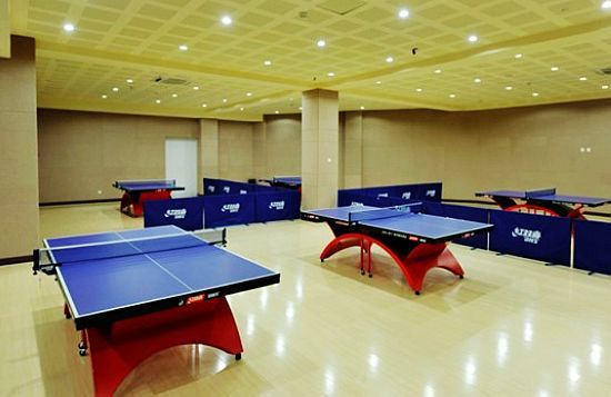 兵乓球球場的照明 兵乓球球場的照明